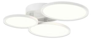 Top Light - LED Stmievateľný prisadený luster LED/50W/230V biela + diaľkové ovládanie