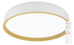 Top Light - LED Stmievateľné stropné svietidlo DEKOR LED/51W/230V + DO biela/béžová