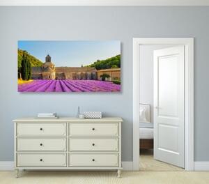 Obraz Provensálsko s levanduľovými poľami - 100x50