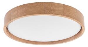 Brilagi - LED Stropné svietidlo MANAROLA SIMPLE LED/24W/230V 3000K