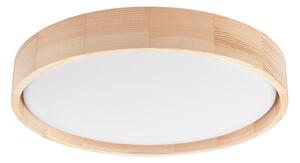 Brilagi - LED stropné svietidlo MANAROLA SIMPLE LED/24W/230V/3000K