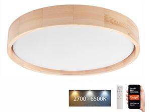 Brilagi - LED stropné svietidlo MANAROLA SMART LED/24W/230V + DO Tuya