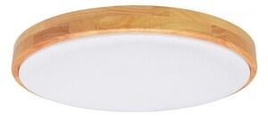 Ecolite WLD400-24W/LED/SD - LED Stmievateľné stropné svietidlo LENA LED/24W/230V