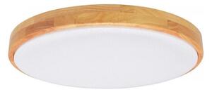 Brilagi - LED Stmievateľné stropné svietidlo PINE LED/60W/230V + diaľkové ovládanie