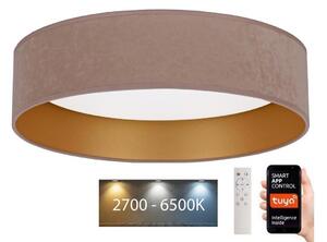 Brilagi - LED Stmievateľné svietidlo VELVET SMART LED/36W/230V Wi-Fi Tuya + DO