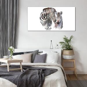 Skleneny obraz Zebra animal strips