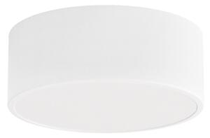 Kúpeľňové stropné svietidlo CLEO 1xE27/24W/230V pr. 20 cm biela IP54