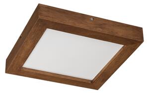 Brilagi-LED Stmievateľné svietidlo WOODY FRAME LED/24W/230V dub 30x30 cm IP44 + DO