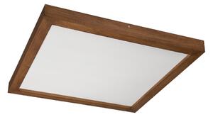 BRILAGI-LED Stmievateľné svietidlo WOODY FRAME LED/50W/230V dub 60x60 cm IP44 + DO