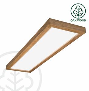 Brilagi - LED Kúpeľňové svietidlo WOODY FRAME LED/40W/230V 120x30 cm IP44 dub