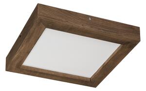 Brilagi-LED Stmievateľné svietidlo WOODY FRAME LED/24W/230V dub 30x30 cm IP44 + DO