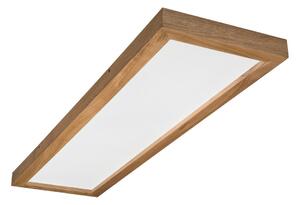 Brilagi-LED Stmievateľné svietidlo WOODY FRAME LED/50W/230V dub 120x30 cm IP44 +DO