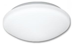 Kúpeľňové stropné svietidlo VICTOR 1xE27/60W/230V IP44