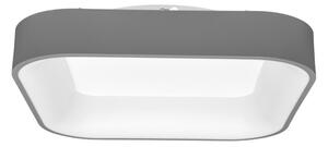 Ecolite WMKL01S-40W/LED-SED - LED Stmievateľné svietidlo NEST LED/40W/230V