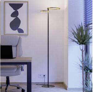 Eglo 901975-LED stmievateľná stojaca lampa CASTELPOTO LED/16W/230V + LED/12W zlatá/čierna