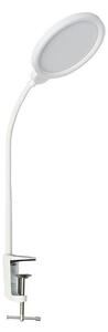 Ecolite LU13A-BI- LED Stmievateľná stolná lampa LIPA LED/10W/230V 3000-6000K biela