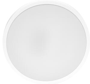 Ecolite W3090-12W/BI-LED Kúpeľňové stropné svietidlo LIRA LED/12W/230V IP44 biela