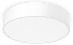 Palnas 61000732 - LED Stropné svietidlo RENY 400 LED/30W/230V
