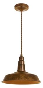 Palnas 62001555 - Luster na lanku VESNA 1xE27/60W/230V