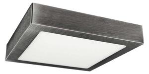 LED Stropné svietidlo LED/24W/230V 3800K 29,8 cm