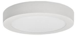 LED Stropné svietidlo FENIX LED/12W/230V 2800K pr. 17 cm