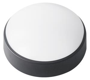 LED Vonkajšie stropné svietidlo LED/14W/230V IP54 čierna