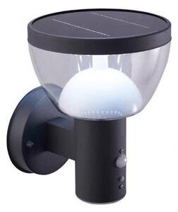 LED vonkajšie solárne nástenné svietidlo so senzorom LARIX LED/3W/3,7V IP44