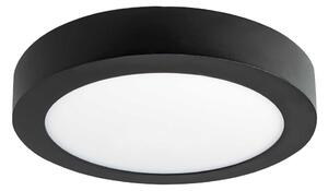 LED Stropné svietidlo FENIX LED/12W/230V 3800K pr. 17 cm