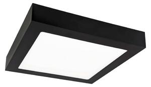 LED Stropné svietidlo FENIX LED/12W/230V 2800K 17 cm