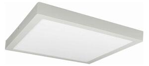 LED Stropné svietidlo FENIX LED/32W/230V 3800K 40 cm biela
