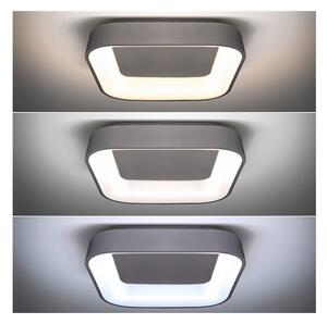 Solight WO769-G - LED Stmievateľné stropné svietidlo TREVISO LED/48W/230V + DO