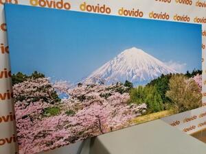Obraz hora Fuji - 100x50