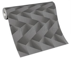 Vliesové tapety na stenu 10255-29, rozmer 10,05 m x 0,53 m, 3D hrany sivo-hnedé so striebornými odleskami, Erismann