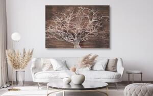 Obraz koruna stromu na drevenom podklade - 120x80