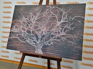 Obraz koruna stromu na drevenom podklade - 90x60