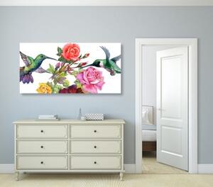 Obraz kolibríky s kvetmi - 100x50