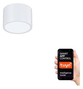 Immax NEO 07024L-15 - LED Stmievateľné stropné svietidlo RONDATE LED/12W/230V Tuya