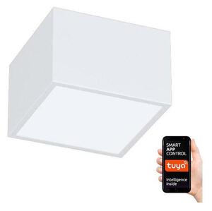 Immax NEO 07072L-15 - LED Stmievateľné svietidlo CANTO LED/12W/230V biela