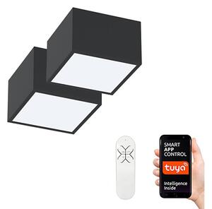 Immax Neo 07074L-15BD-Sada 2x LED Stmievateľné svietidlo CANTO 2xLED/12W/230V + DO