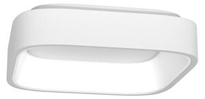 Immax NEO 07032L - LED Stmievateľné stropné svietidlo TOPAJA LED/47W/230V + DO