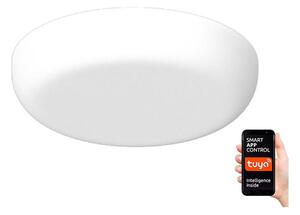 Immax NEO 07109K - LED Stmievateľné kúpeľňové podhľadové PRACTICO LED/24W/230V