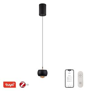 Immax NEO 07219L - LED Stmievateľný luster DORMINE 6W/230V matná čierna Tuya +DO