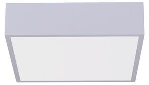 Immax NEO 07238L - LED Stmievateľné stropné svietidlo CANTO 22W/230V biela Tuya +DO