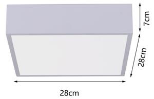 Immax NEO 07238L - LED Stmievateľné stropné svietidlo CANTO 22W/230V biela Tuya +DO