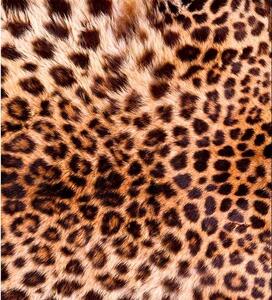 Vliesové fototapety, rozmer 225 cm x 250 cm, leopardia koža, DIMEX MS-3-0184