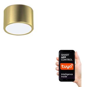 Immax Neo 07127L - LED Stmievateľné stropné svietidlo RONDATE LED/12W/230V Tuya