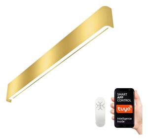 Immax NEO 07137-G - LED SMART Stmievateľné svietidlo LINEA LED/40W/230V + DO 76 cm