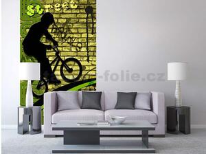 Vliesové fototapety, rozmer 150 cm x 250 cm, bicycle green, DIMEX MS-2-0328