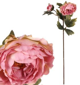 RUŽA 55 cm - Kvety & kvetináče