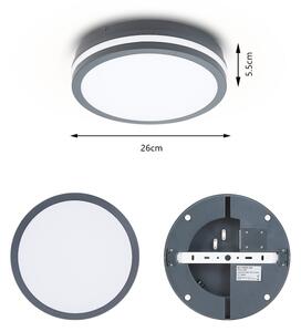 Brilagi - LED Vonkajšie svietidlo BENE LED/24W/230V pr. 26 cm IP54